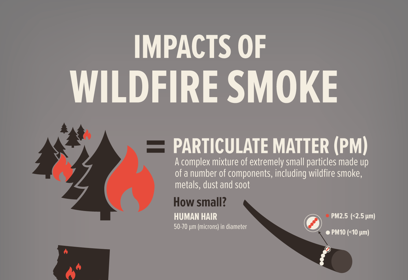Protect Yourself From Smoke